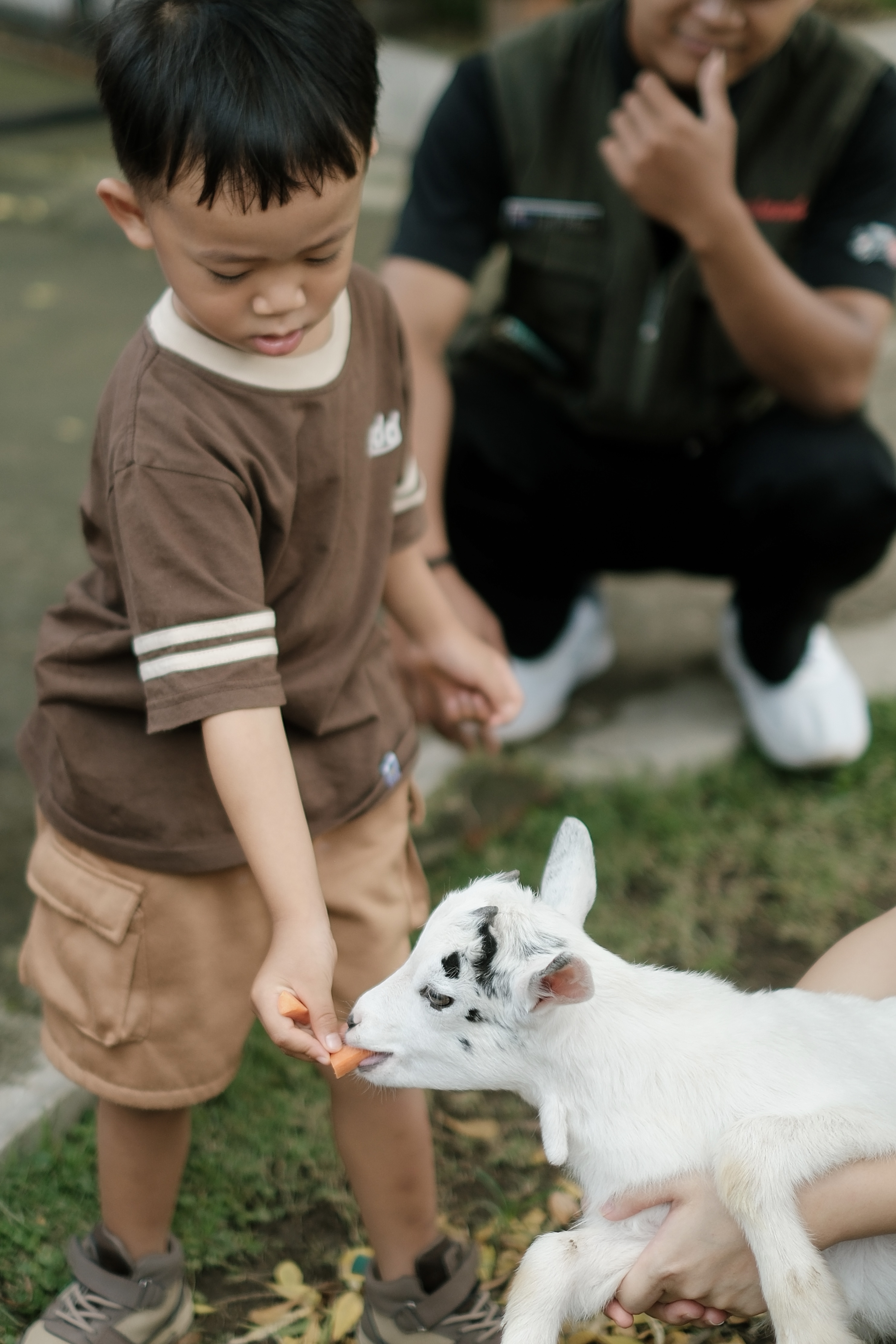 Child feeding a goat at Piataland